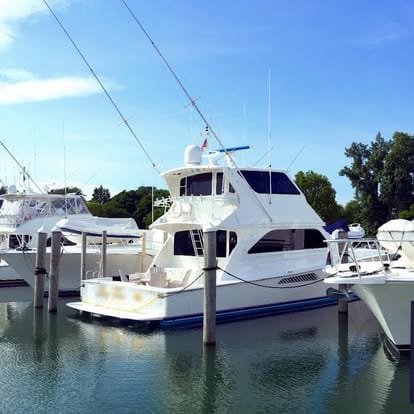 36561155_1774475722635521_3228255852427214848_n