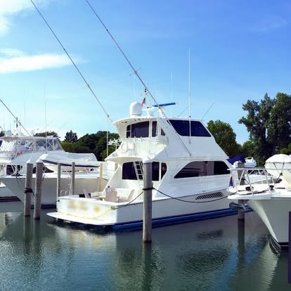 36561155_1774475722635521_3228255852427214848_n